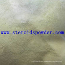 Trenbolone Acetate Esteroides Anabólicos